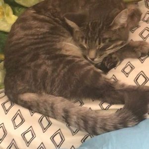 Meet your Posher, Danielle